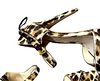 MIU MIU Italy. Pony Hair Leopard High Heel Women’s Size 38.5