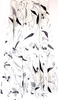 UNITED ARROWS JAPAN. White Flower Print Sheer Flare Maxi Skirt