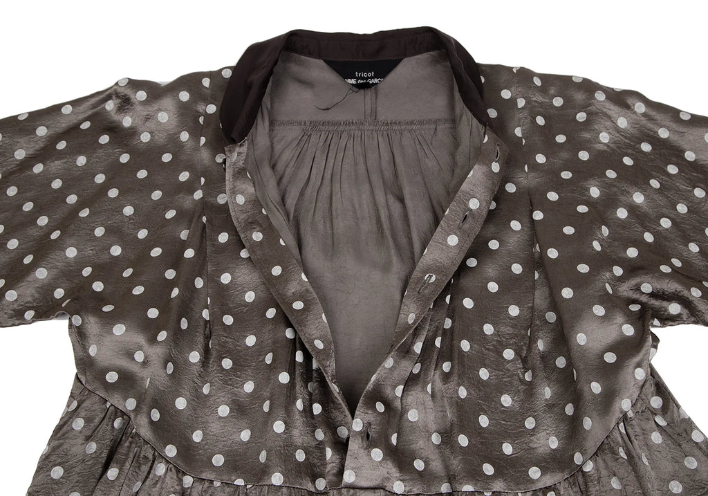 COMME des GARCONS TRICOT. Mocha Color Shiny Dot Round Collar Shirt Dress