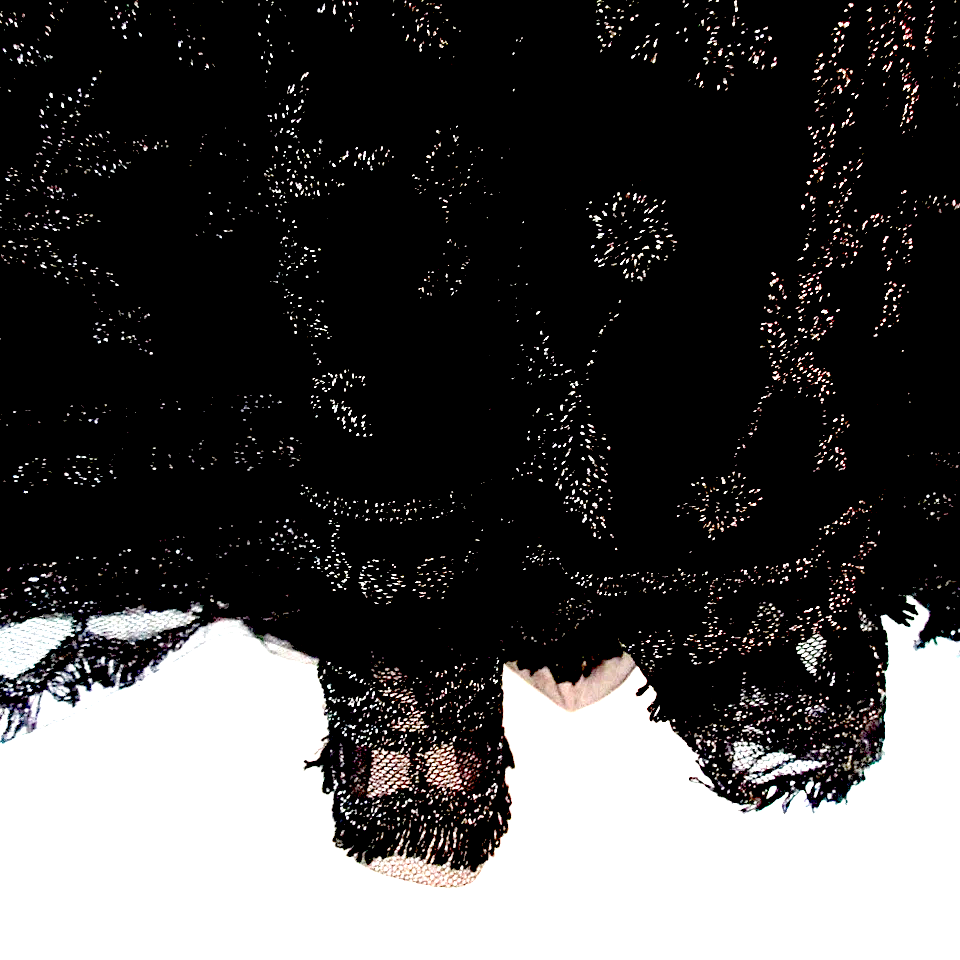 UNITED TOKYO JAPAN. Black Tulle Embroidery Skirt