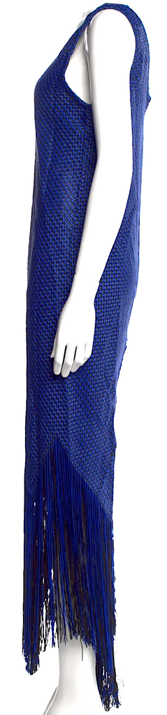 PROENZA SCHOULER NY. NEW. NWT. Blue Fringe Accents Printed Long Dress